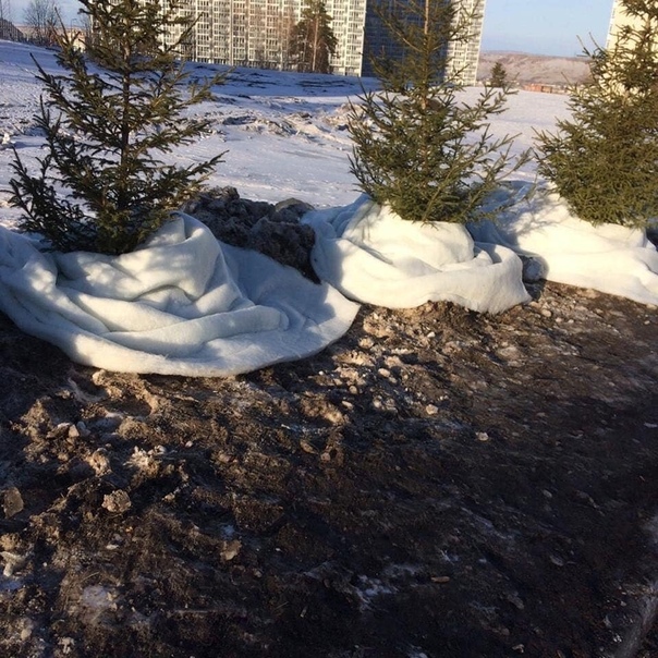 В Красноярске в преддверии Универсиады-2019 выпал синтепоновый снег.